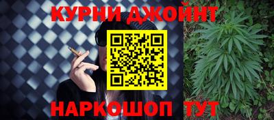 прущие грибы Будённовск