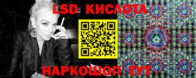 прущие грибы Будённовск