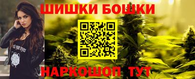 прущие грибы Будённовск