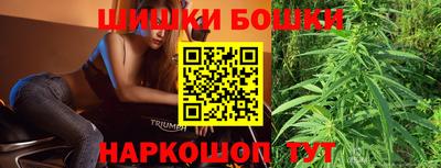 прущие грибы Будённовск