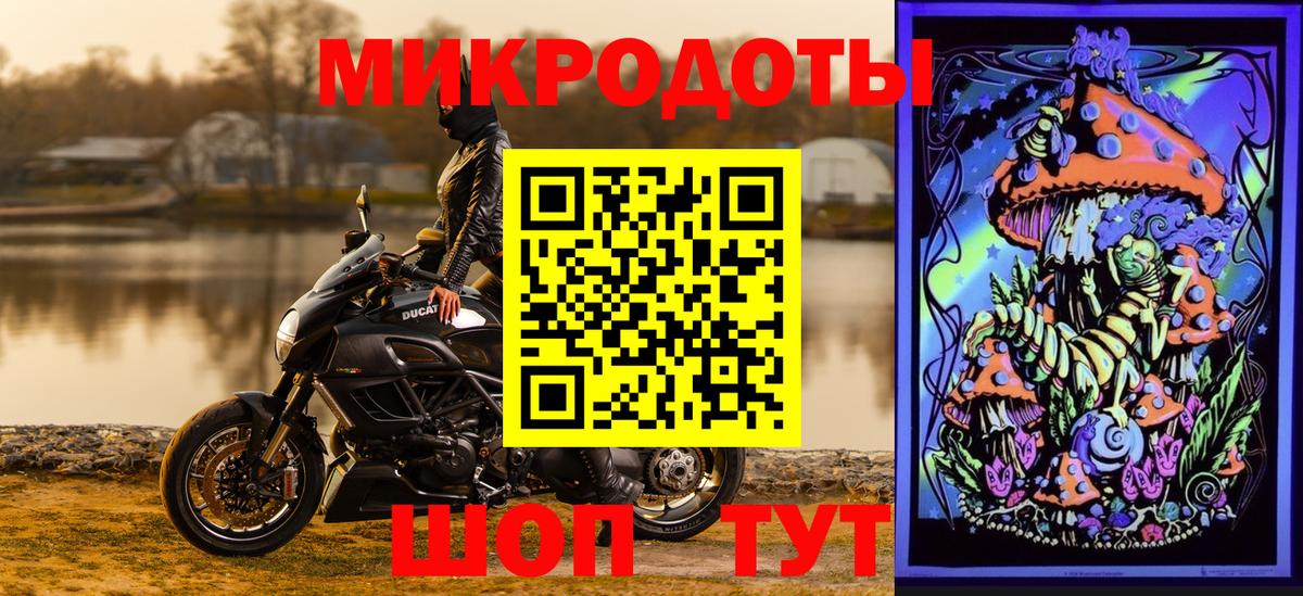 Псилоцибиновые грибы Psilocybine cubensis Фролово