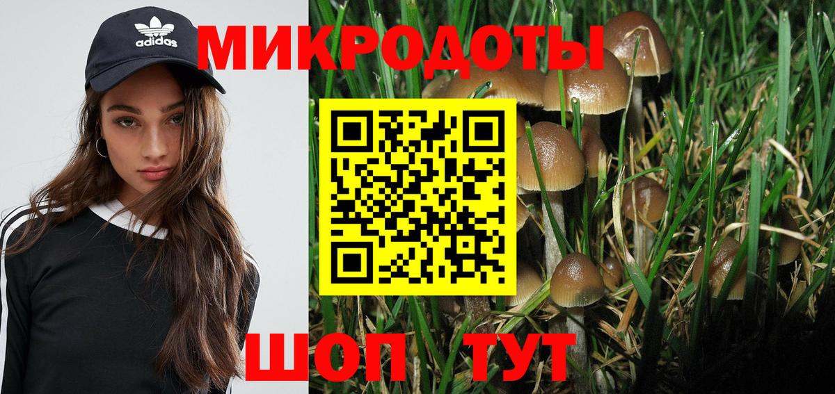 Псилоцибиновые грибы GOLDEN TEACHER  Псилоцибиновые грибы Magic Shrooms  Вход с VPN  Фролово 